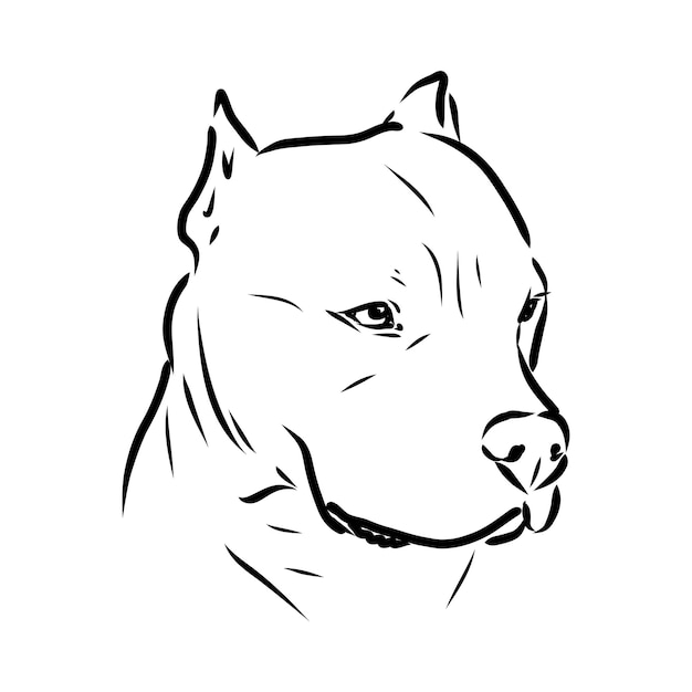 Skizze der hundepitbullterrier-vektorillustration