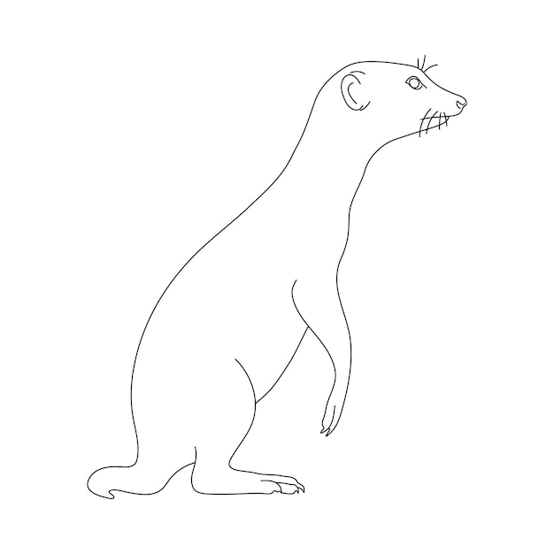 Skizze einer handgezeichneten Erdmännchen-Vektorillustration