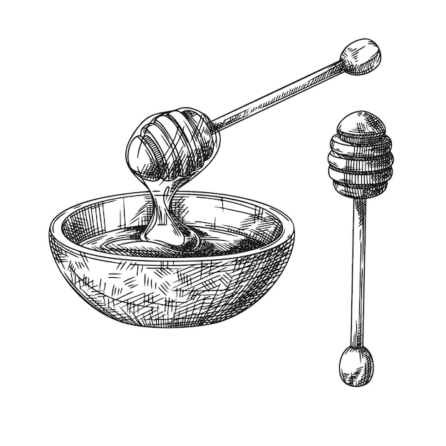 Skizze einer schüssel mit honig und einem hölzernen honiglöffel. vektor-illustration