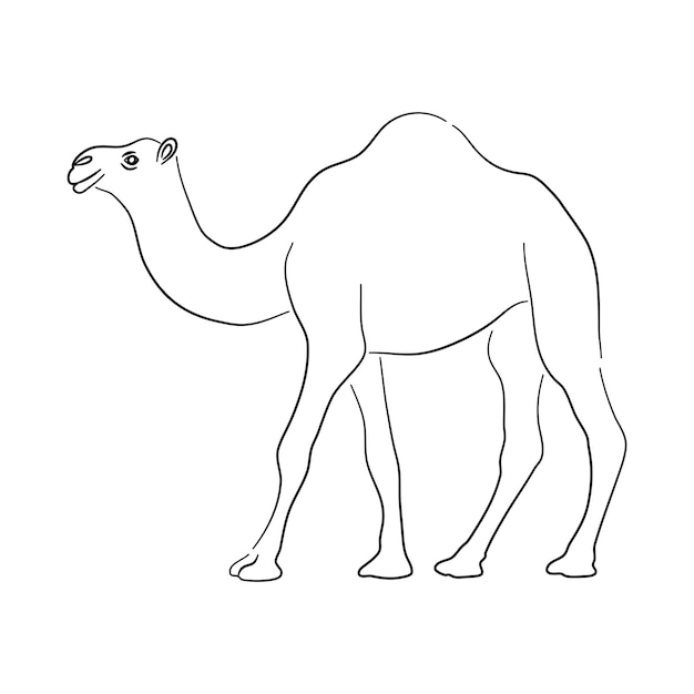 Skizzenzeichnung eines kamels isoliert auf weißem hintergrund. vektorillustration
