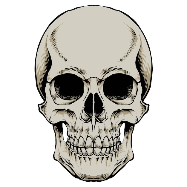 Skullationsvektor