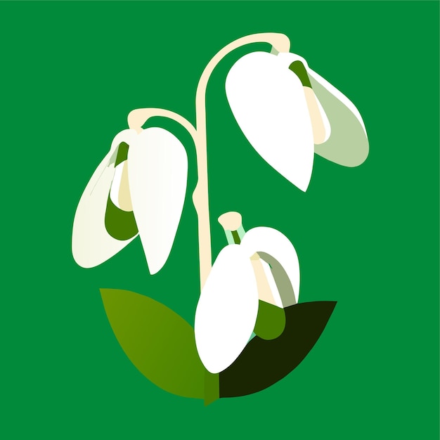 Vektor snowdrop-flachblumenvektor-illustration