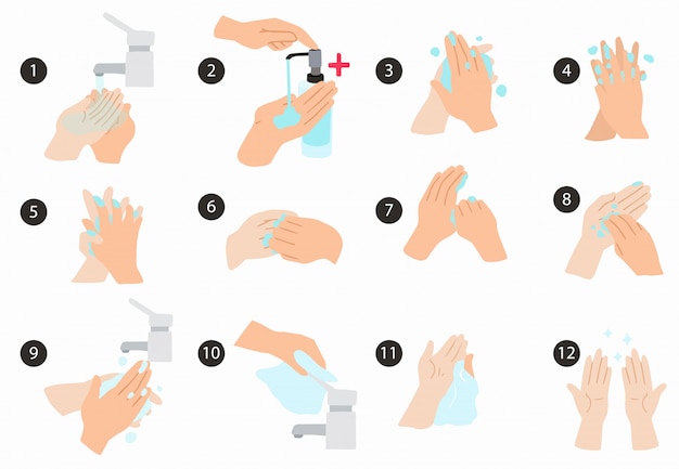 Vektor so waschen sie ihre hand schritt für schritt, um die ausbreitung von bakterien, viren und coronaviren zu verhindern. bearbeitbares element
