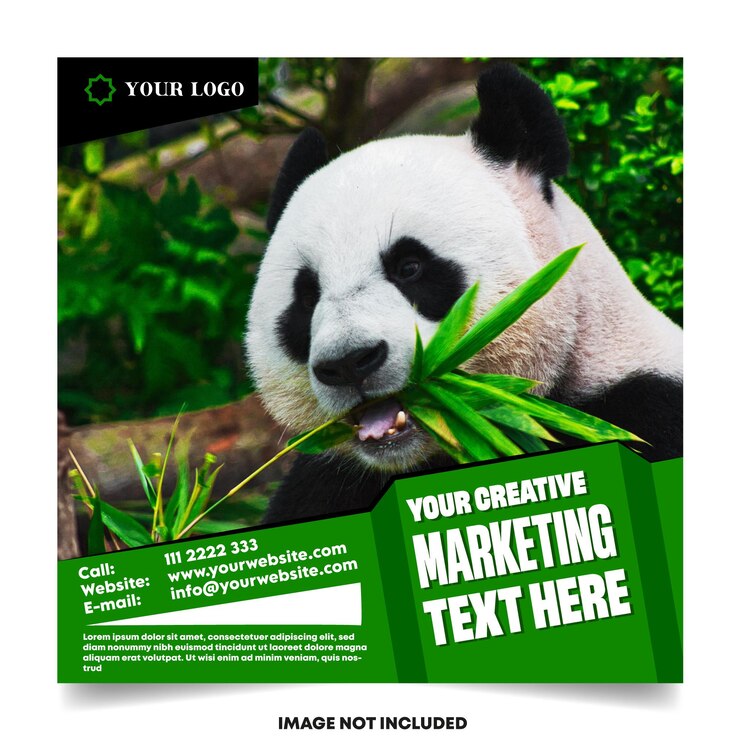 Social-Media-Beitrag Instagram Facebook Flyer Broschüre Designvorlage Premium-Vektor