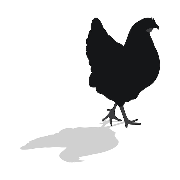 Socke hahn huhn huhn küken position stehend geflügel silhouette von hand gezeichnet