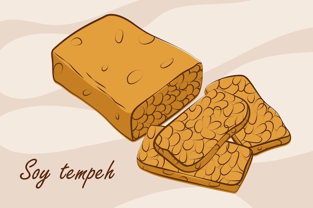 Soja-Tempeh-Illustration im Vektordesign