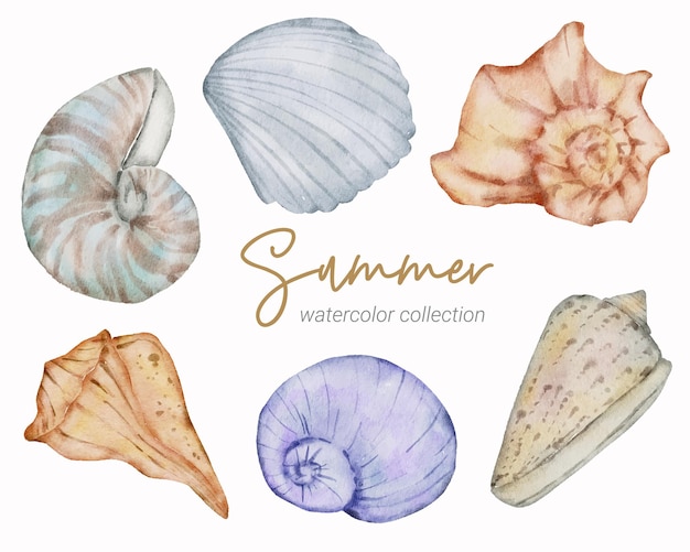 sommer-aquarell-elementsammlung