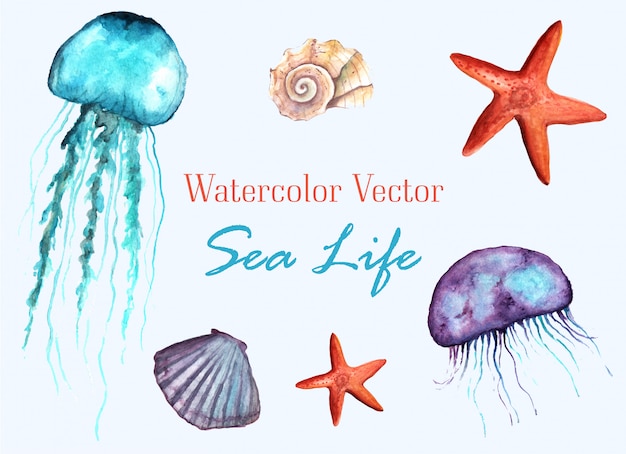 Sommer Vektor Sea Life