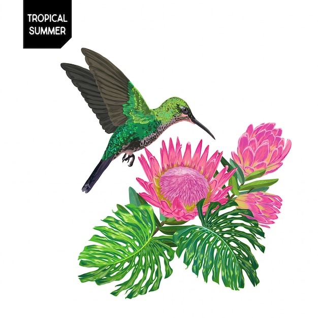 Sommerentwurf mit Kolibri und Blumen