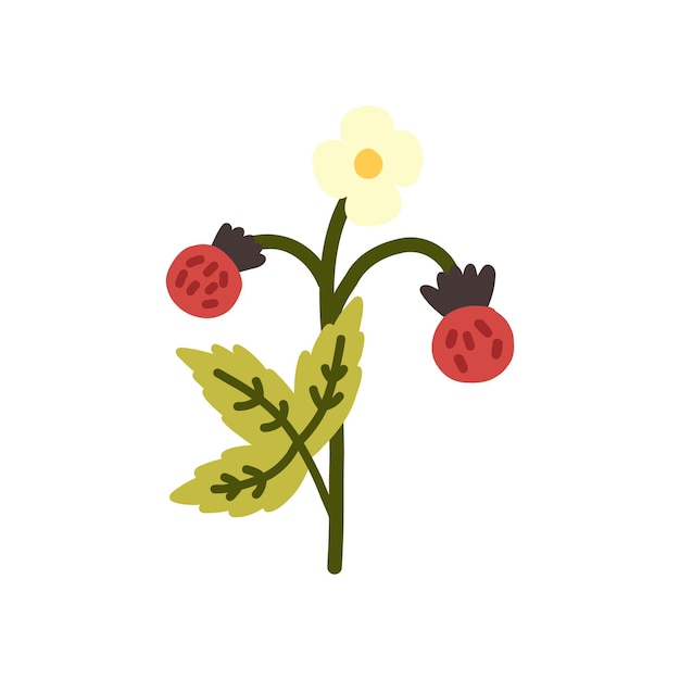 Sommererdbeeren doodle vektorgrafiken handgezeichnete naive niedliche natur cliparts