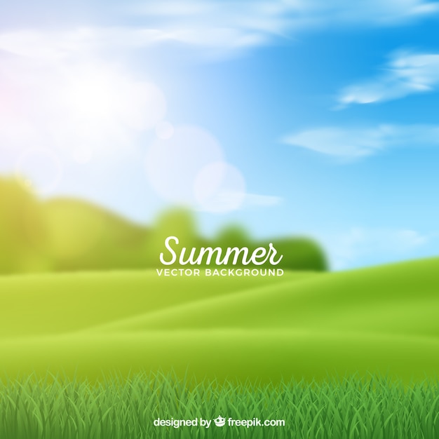 Sommerhintergrund mit unscharfer Wiese