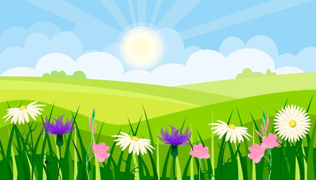 Vektor sommerlandschaft grüne wiesen mit wilden blumen cartoon-design