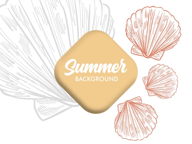 Sommerthema hintergrunddesign mit muschelillustration