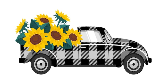 Sonnenblumen-autokäfig