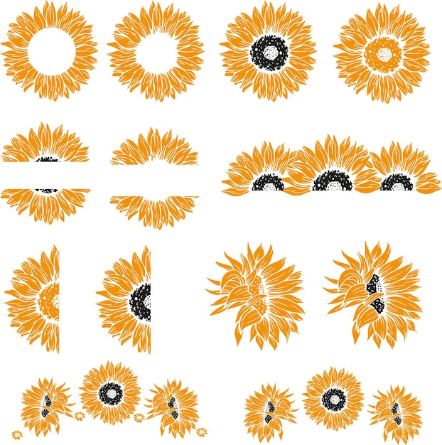 Sonnenblumen-design-elemente set kranz und bordüre