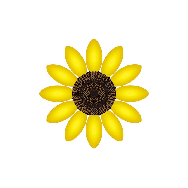 Sonnenblumen-designvektor