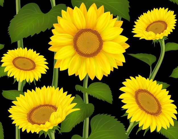 Sonnenblumen-Gartenmuster Gänseblümchen Blumenblumen für Sommerhochzeitskarten Frühlingsnaturblatt und Blüte Blühender Helianthus Botanischer Druck Vektorneoterischer nahtloser Hintergrund