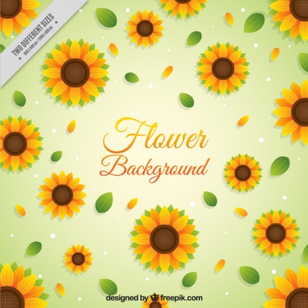 Sonnenblumen hintergrund in flaches design