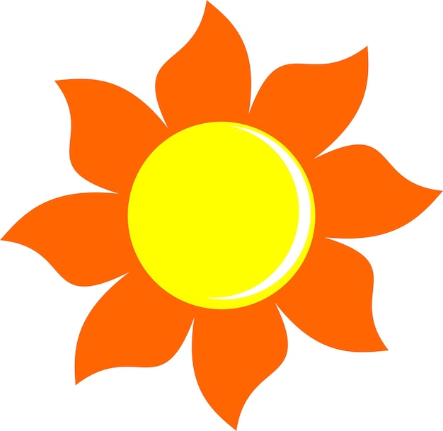 Sonnenblumenöl