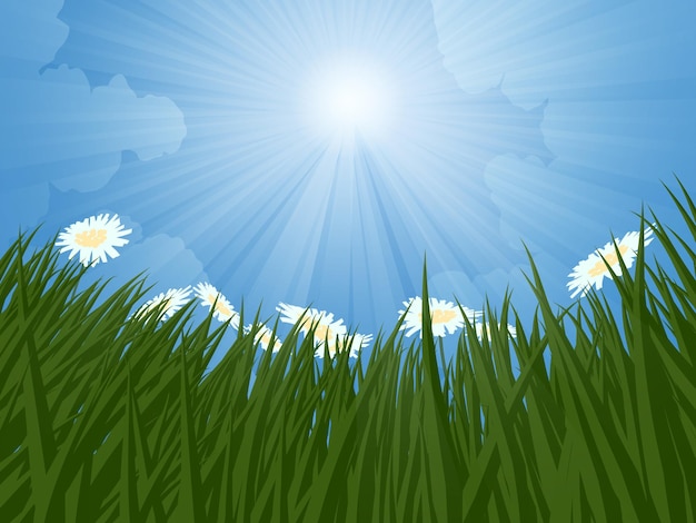 Sonnenstrahl über gras und blumen am sonnigen tag