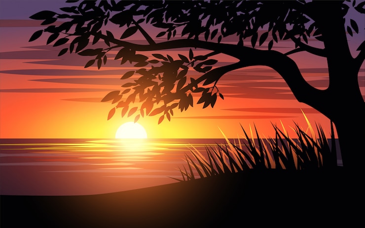 Sonnenuntergang am Strand mit Baumschattenbild