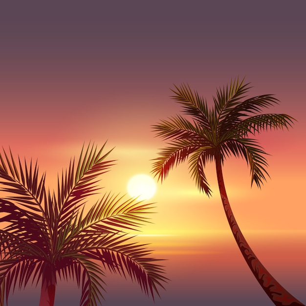 Sonnenuntergang auf tropischer Insel. Schwarze Schattenbild der Palme im roten Himmel