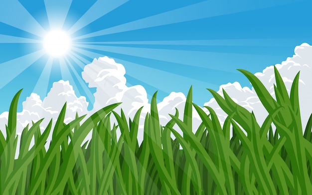 Sonnige tagesillustration mit gras und wolken