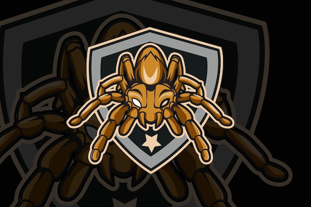 Spider e sport team logo vorlage