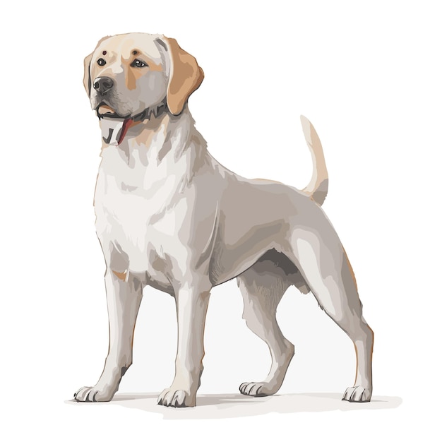 Spielhafte Labrador-Retriever-Hund-Vektor-Illustration
