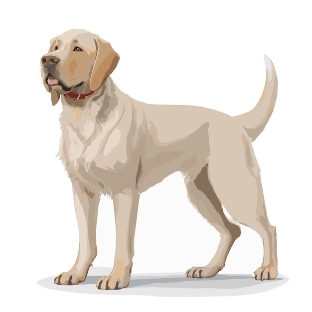 Vektor spielhafte labrador-retriever-hund-vektor-illustration