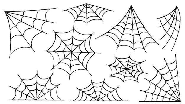 Spinnennetz eingestellt. halloween-dekoration mit spinnen. ein gruseliges spinnennetz an einem verlassenen ort. umriss und linie isolierte vektorillustration.