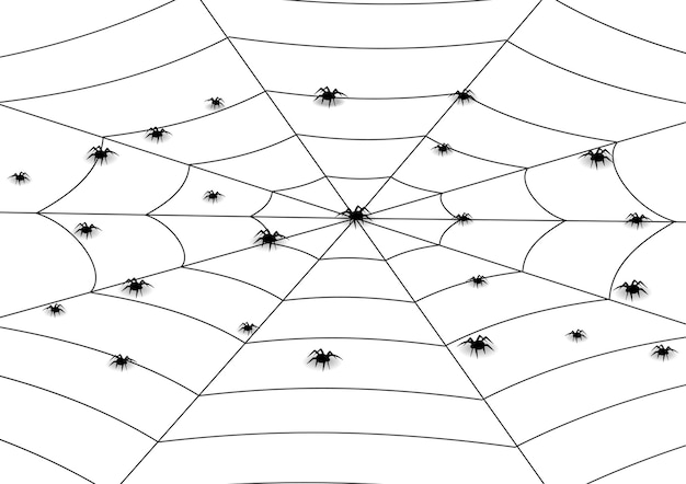 Vektor spinnennetz-hintergrund mit spinnen im cartoon-stil für halloween