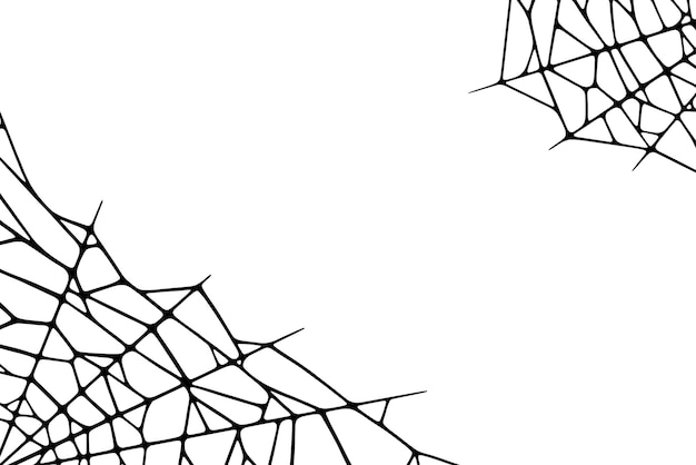 Spinnennetzecken auf weißem hintergrund. gruseliges halloween-spinnennetz. handgezeichnete vektorillustration