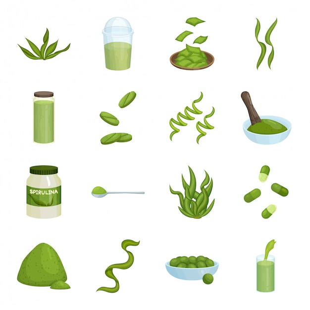 Vektor spirulina cartoon-icon-set