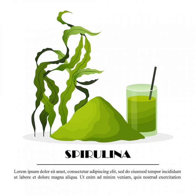 Spirulinaplakat mit Seetangpulver-Smoothie-Algen lokalisiert auf weißem Hintergrund, Illustration. Gesundes Essen.