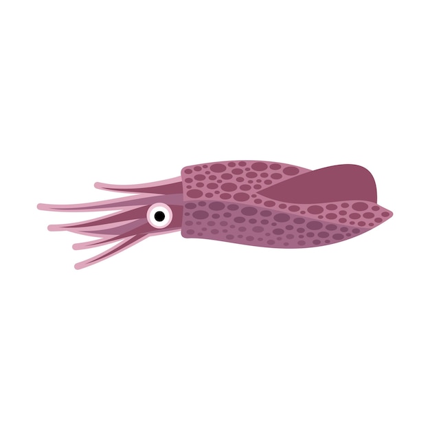 Vektor squid flat style vector illustration sea life illustration