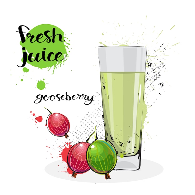 Stachelbeersaft-frische hand gezeichnete aquarell-frucht und glas auf weißem hintergrund