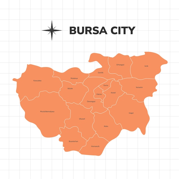 Vektor stadtkarte von bursa karte der stadt in der türkei