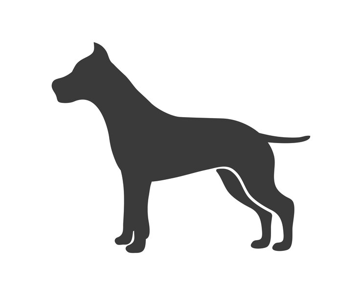 Vektor staffordshire-terrier-silhouette. amerikanischer gefahrenkampfhund, vektorsymbol isoliert auf weißem hintergrund