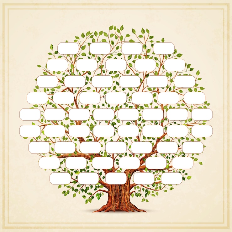 Vektor stammbaum-vorlage. genealogie, stammbaum. vintage-stil für retro-design. vektor-illustration