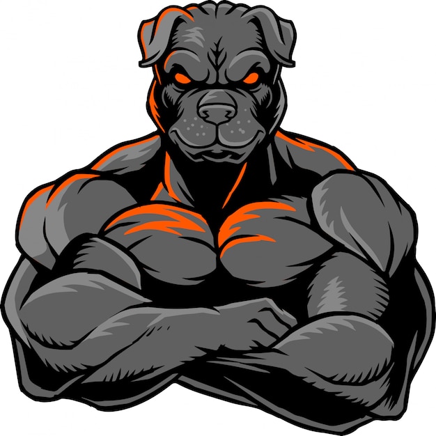 Starke bulldogge 1