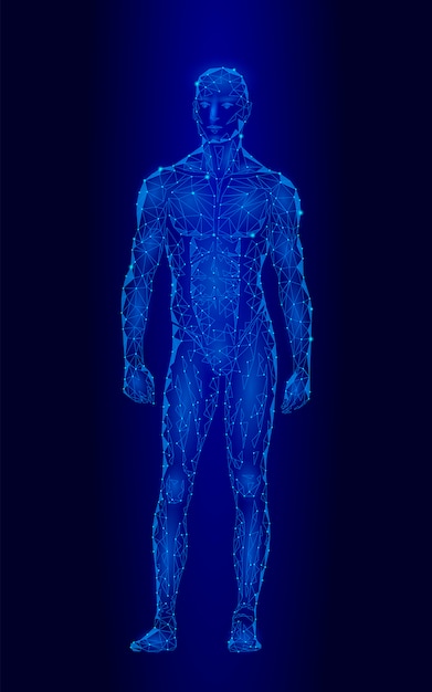 Starker gesunder menschlicher Körper, der niedriges Polydesign des Modells 3D, androider Roboterhumanoid steht