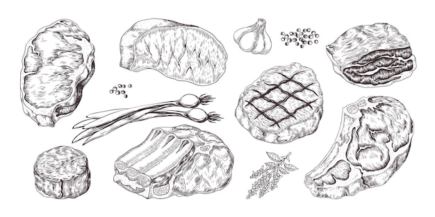 Steak. weinlese-skizze mit rind- und schweinekotelettrippen und filet, metzgerei-nahrungsmittelprodukte mit knoblauch und pfeffer. handgezeichnetes filetfleisch mit zwiebeln, knoblauch, pfeffer