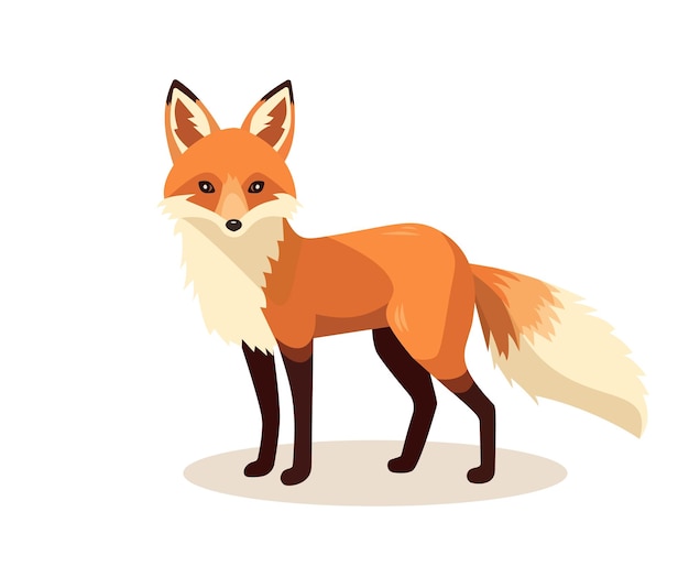 Stehender Fuchs isoliert auf weißem Hintergrund Körper Seitenansicht Kopf im vollen Gesicht Stock Vektor Illustration Waldtier