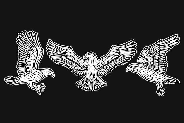 Stellen sie adler-vogel-tierflügel-fliegen-hand gezeichnet für tätowierungs- und t-shirt-kunstillustration ein