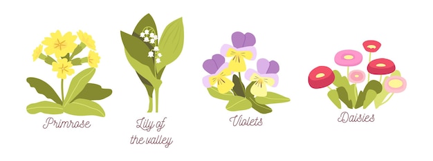 Stellen sie frühlingsblumen, bloom garden oder forest blossoms primrose, lilly of the valley, veilchen und gänseblümchen, natürliche pflanzen mit blättern und blütenblättern auf weißem hintergrund ein. cartoon-vektor-illustration