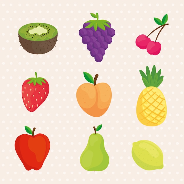 Stellen Sie Symbole für frische und köstliche Früchte ein