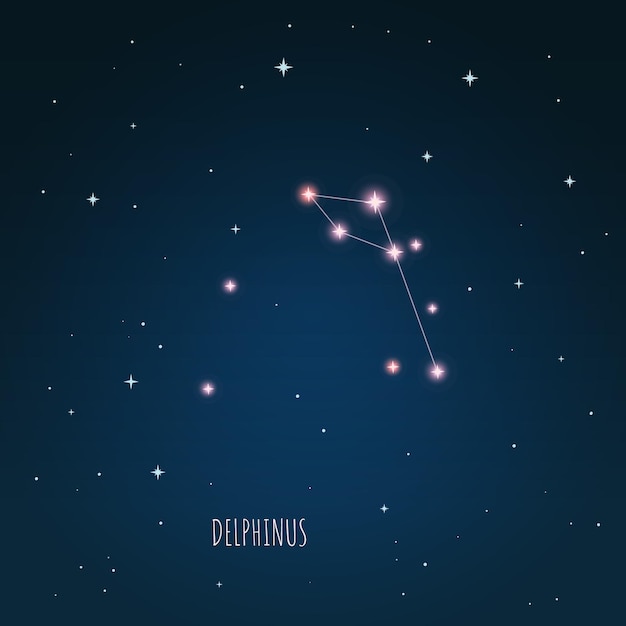 Sternbild delphinus-schema im sternenhimmel, freiraum, konstellation durch ein teleskop