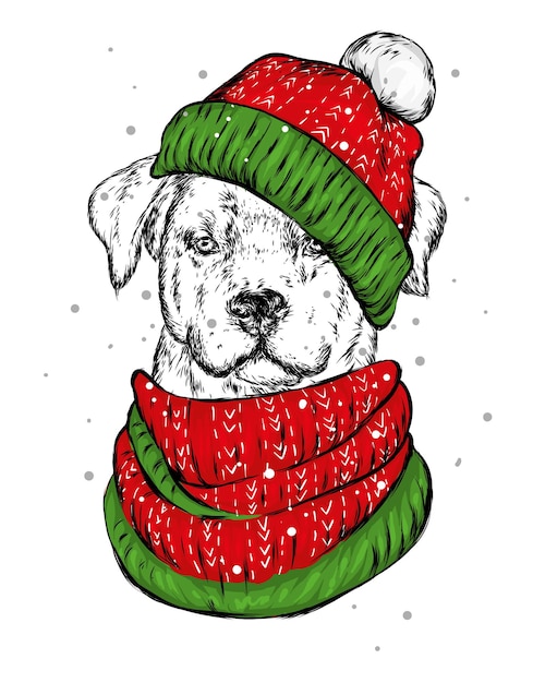 Stilvoller hund in weihnachtsmütze von santa claus