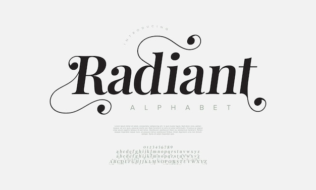 Strahlendes Swash Luxus elegantes Alphabet Buchstaben und Zahlen Vintage Hochzeits Typografie klassische Serif